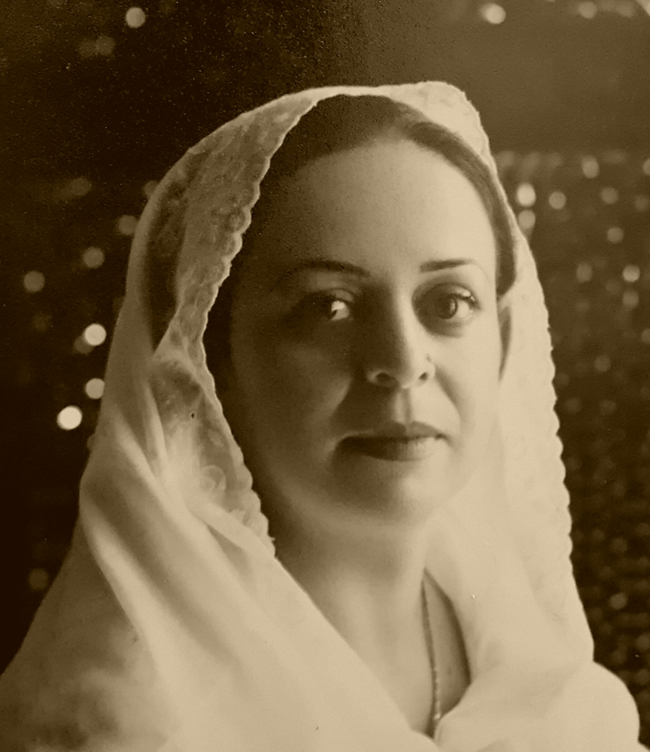 Dr. Robina  Shaheen